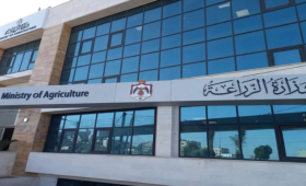 مقر وزارة الزراعة | بترا